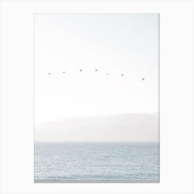 Birds Flying Over Ocean Canvas Print