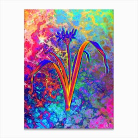 Small Flowered Pancratium Botanical in Acid Neon Pink Green and Blue n.0331 Canvas Print