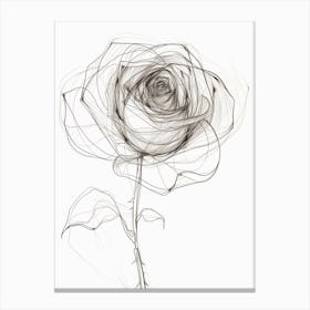 English Rose Black And White Line Drawing 3 Canvas Print
