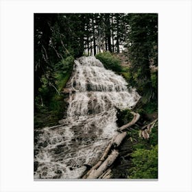 Forest Waterfall Canvas Print