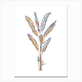 Stained Glass Parrot Heliconia Mosaic Botanical Illustration on White n.0272 Canvas Print