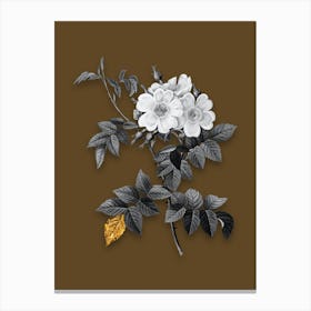 Vintage White Rosebush Black and White Gold Leaf Floral Art on Coffee Brown n.0772 Canvas Print