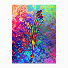 Narcissus Calathinus Botanical in Acid Neon Pink Green and Blue n.0037 Canvas Print