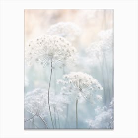 Frosty Botanical Queen Annes Lace 4 Canvas Print