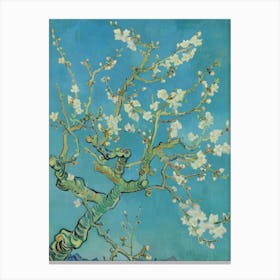 Blossoming Almond Tree 7 Canvas Print