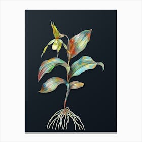 Vintage Yellow Lady's Slipper Orchid Botanical Watercolor Illustration on Dark Teal Blue n.0602 Canvas Print