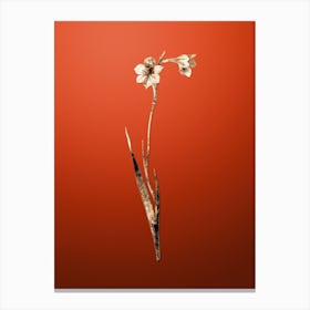 Gold Botanical Sword Lily on Tomato Red n.1457 Canvas Print