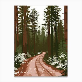 Road In The Woods Canvas Print