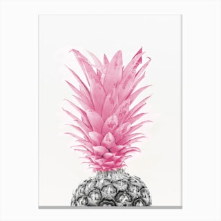 Black & White Pineapple With Pink Canvas Print