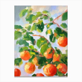 Grapefruit Tree 3 Impressionist Painting Plant Canvas Print