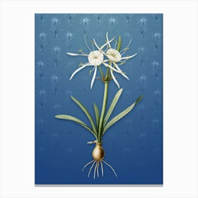 Vintage Streambank Spiderlily Botanical on Bahama Blue Pattern Canvas Print