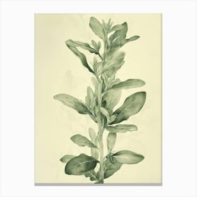 Jade Plant Minimalist Block Print 5 Canvas Print