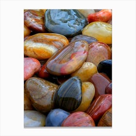 Colorful Pebbles Stones Nature Canvas Print