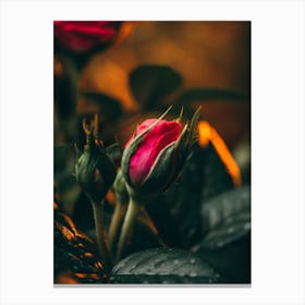 Poster Flower Art Print 4 Canvas Print