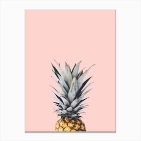 Pineapple collage 6 Canvas Print