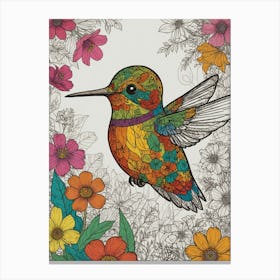 Hummingbird 48 Canvas Print