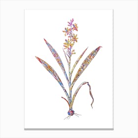 Stained Glass Wachendorfia Thyrsiflora Mosaic Botanical Illustration on White n.0021 Canvas Print