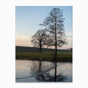 Trees and their reflection in a pond Canvas Print