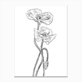 Poppy Flower Vector Illustration Canvas Print