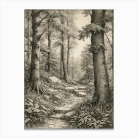 Path In The Woods 10 Canvas Print