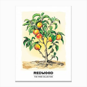 Redwood Tree Storybook Illustration 3 Poster Canvas Print