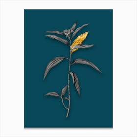 Vintage Dayflower Black and White Gold Leaf Floral Art on Teal Blue n.0412 Canvas Print