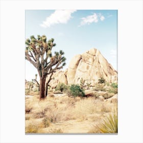 Arizona Charm Canvas Print