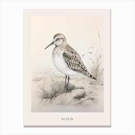 Vintage Bird Drawing Dunlin 1 Poster Canvas Print