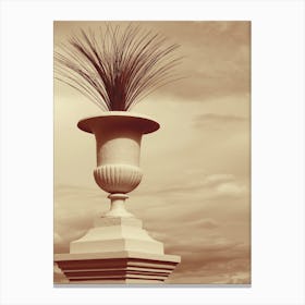 Vase Plant Sky Photo Photography Vertical Beige Sepia Terracotta Nature Outdoor Kitchen Living Room Bedroom Canvas Print