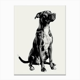 Black And White Dog 1 Canvas Print