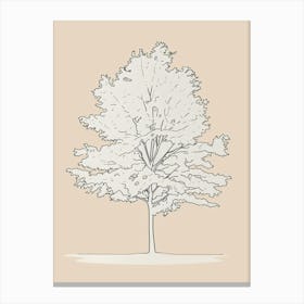 Maple Tree Minimalistic Drawing 2 Canvas Print