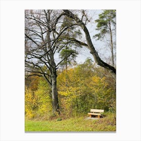 Bench In A Park 1 Canvas Print