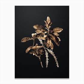 Gold Botanical Swamp Titi Leaves on Wrought Iron Black Canvas Print