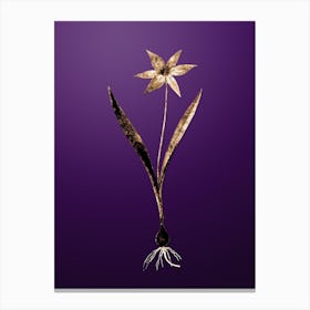 Gold Botanical Tulipa Celsiana on Royal Purple n.2360 Canvas Print