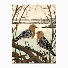 Art Nouveau Birds Poster Dunlin 2 Canvas Print