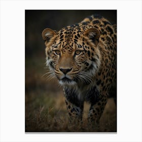 Leopard Canvas Print