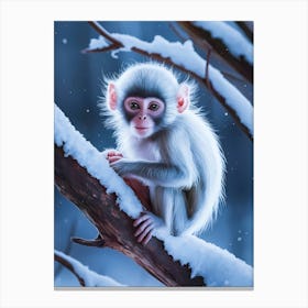 Monkey In The Snow 1 Canvas Print