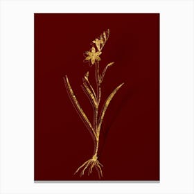Vintage Ixia Secunda Botanical in Gold on Red n.0068 Canvas Print