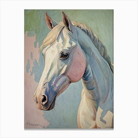 White Horse no1 Canvas Print