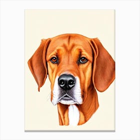 Redbone Coonhound Illustration dog Canvas Print