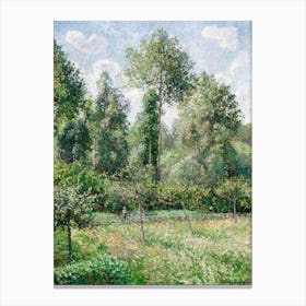 Poplars, Éragny (1895), Camille Pissarro Canvas Print