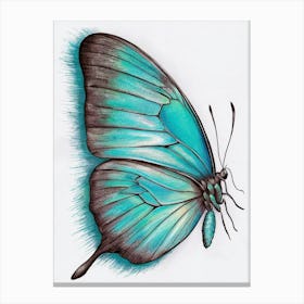 Butterfly Canvas Print