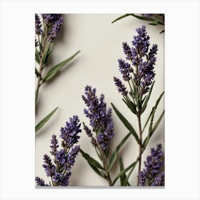 Lavender Flowers 1 Canvas Print