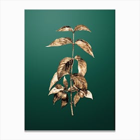 Gold Botanical Cornelian Cherry on Dark Spring Green n.2961 Canvas Print