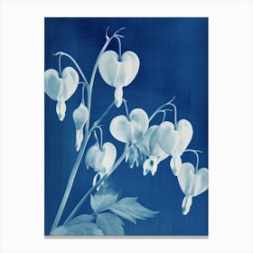 Bleeding Hearts IV Canvas Print