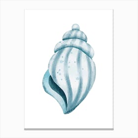 Sea Shell Watercolor Painting Canvas Print