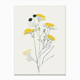 Feverfew Spices And Herbs Minimal Line Drawing 4 Canvas Print