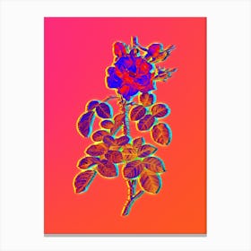 Neon Four Seasons Rose in Bloom Botanical in Hot Pink and Electric Blue n.0082 Canvas Print