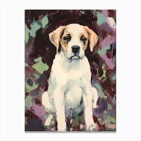 A Saint Bernard Dog Painting, Impressionist 1 Canvas Print