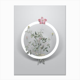 Vintage Single Dwarf Chinese Rose Minimalist Botanical Geometric Circle on Soft Gray n.0112 Canvas Print